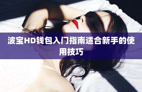 波宝HD钱包入门指南适合新手的使用技巧