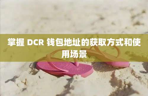 掌握 DCR 钱包地址的获取方式和使用场景