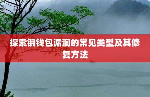 探索锎钱包漏洞的常见类型及其修复方法