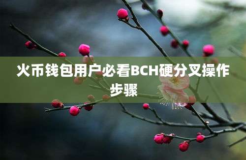 火币钱包用户必看BCH硬分叉操作步骤