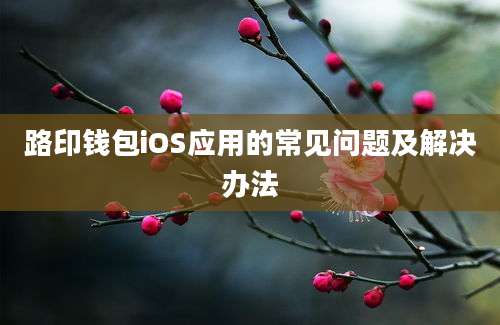 路印钱包iOS应用的常见问题及解决办法