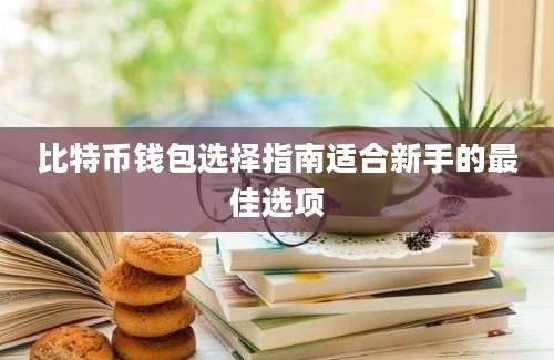 比特币钱包选择指南适合新手的最佳选项