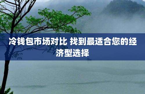 冷钱包市场对比 找到最适合您的经济型选择