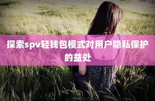 探索spv轻钱包模式对用户隐私保护的益处