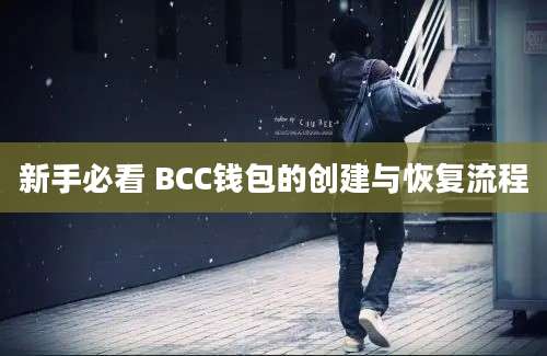 新手必看 BCC钱包的创建与恢复流程