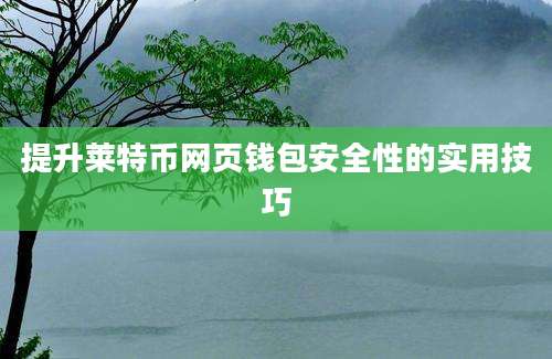 提升莱特币网页钱包安全性的实用技巧