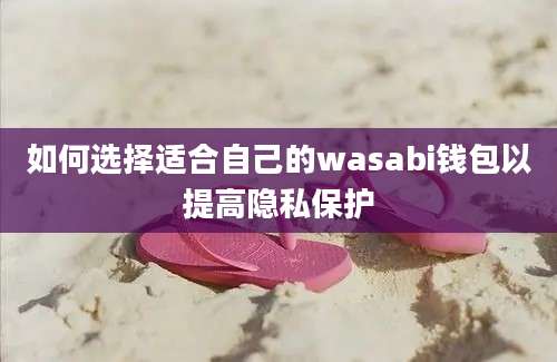 如何选择适合自己的wasabi钱包以提高隐私保护