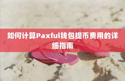 如何计算Paxful钱包提币费用的详细指南