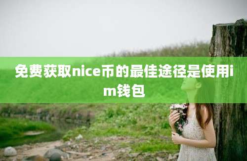 免费获取nice币的最佳途径是使用im钱包