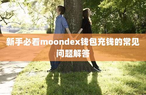 新手必看moondex钱包充钱的常见问题解答