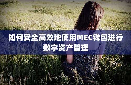 如何安全高效地使用MEC钱包进行数字资产管理