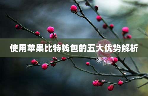 使用苹果比特钱包的五大优势解析