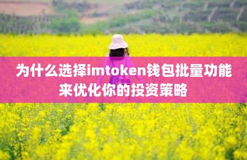 为什么选择imtoken钱包批量功能来优化你的投资策略