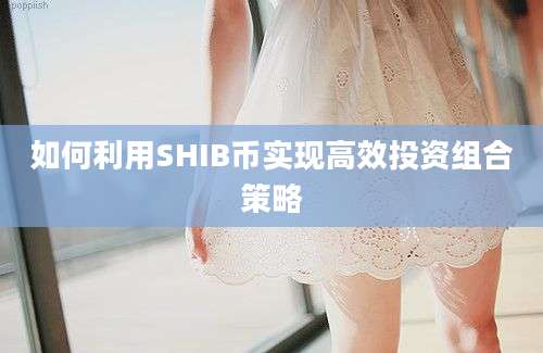 如何利用SHIB币实现高效投资组合策略