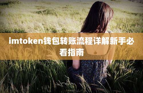 imtoken钱包转账流程详解新手必看指南