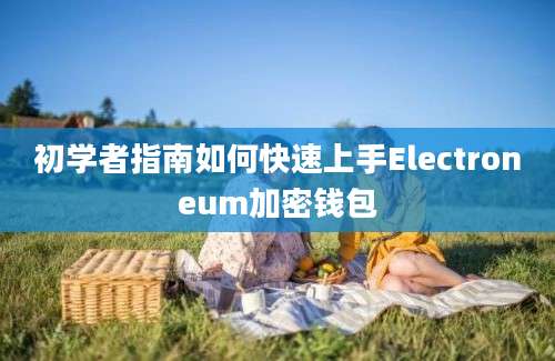 初学者指南如何快速上手Electroneum加密钱包