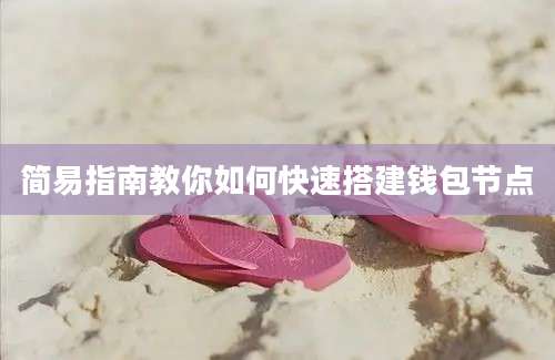 简易指南教你如何快速搭建钱包节点