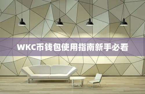 WKC币钱包使用指南新手必看