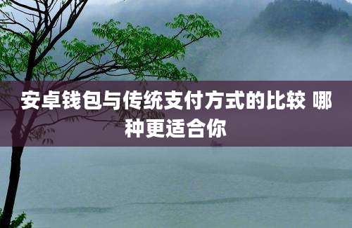 安卓钱包与传统支付方式的比较 哪种更适合你