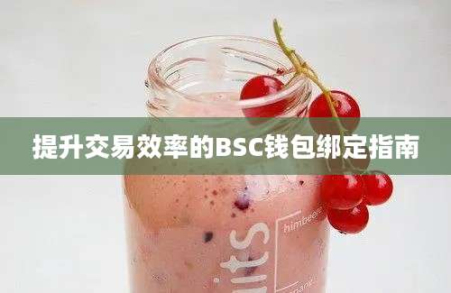 提升交易效率的BSC钱包绑定指南