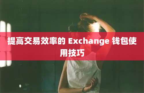 提高交易效率的 Exchange 钱包使用技巧