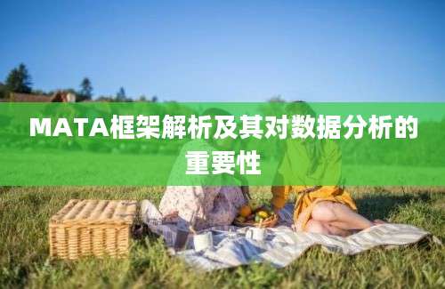 MATA框架解析及其对数据分析的重要性