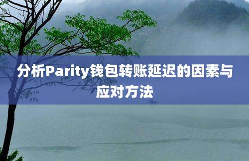 分析Parity钱包转账延迟的因素与应对方法