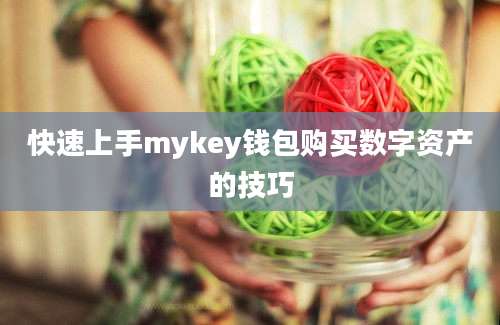 快速上手mykey钱包购买数字资产的技巧