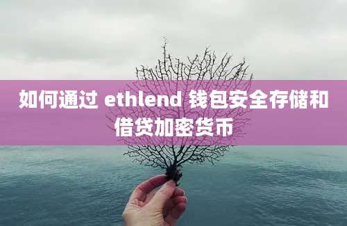 如何通过 ethlend 钱包安全存储和借贷加密货币