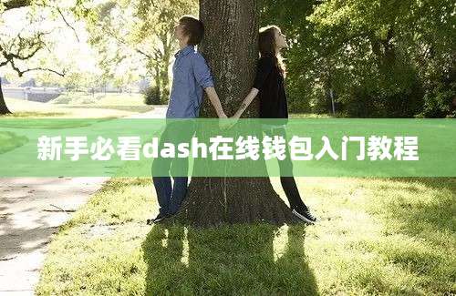 新手必看dash在线钱包入门教程