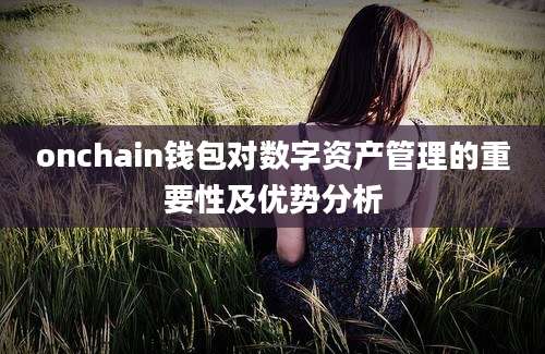 onchain钱包对数字资产管理的重要性及优势分析