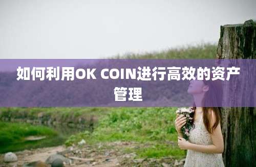 如何利用OK COIN进行高效的资产管理