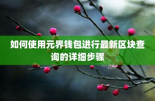 如何使用元界钱包进行最新区块查询的详细步骤