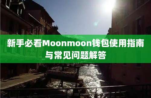 新手必看Moonmoon钱包使用指南与常见问题解答