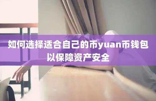 如何选择适合自己的币yuan币钱包以保障资产安全