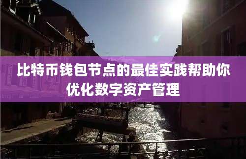 比特币钱包节点的最佳实践帮助你优化数字资产管理