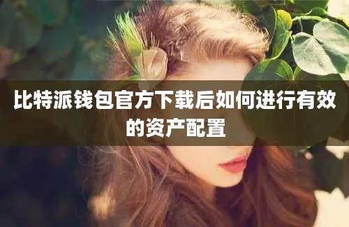 比特派钱包官方下载后如何进行有效的资产配置