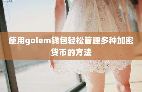 使用golem钱包轻松管理多种加密货币的方法