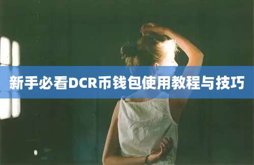 新手必看DCR币钱包使用教程与技巧