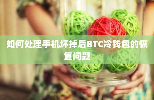 如何处理手机坏掉后BTC冷钱包的恢复问题