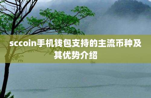 sccoin手机钱包支持的主流币种及其优势介绍