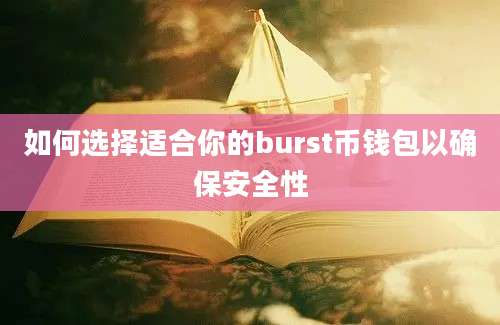 如何选择适合你的burst币钱包以确保安全性