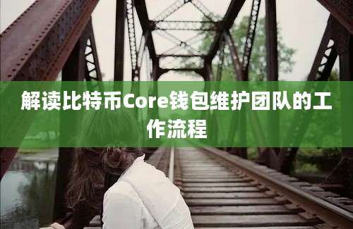 解读比特币Core钱包维护团队的工作流程