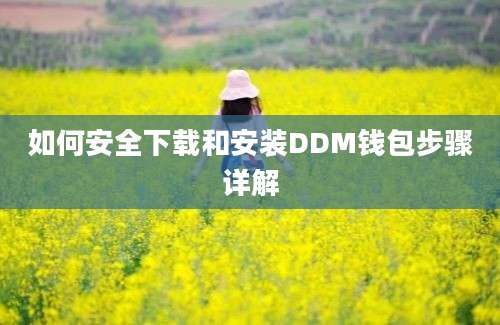 如何安全下载和安装DDM钱包步骤详解