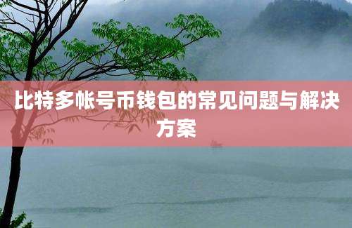 比特多帐号币钱包的常见问题与解决方案