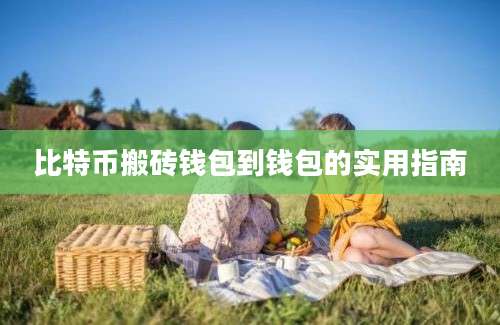 比特币搬砖钱包到钱包的实用指南