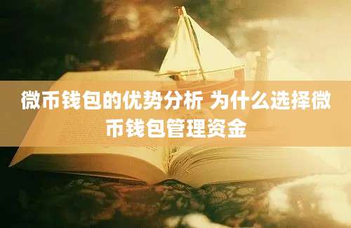 微币钱包的优势分析 为什么选择微币钱包管理资金