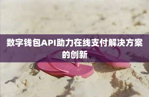 数字钱包API助力在线支付解决方案的创新