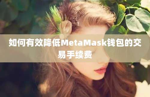 如何有效降低MetaMask钱包的交易手续费