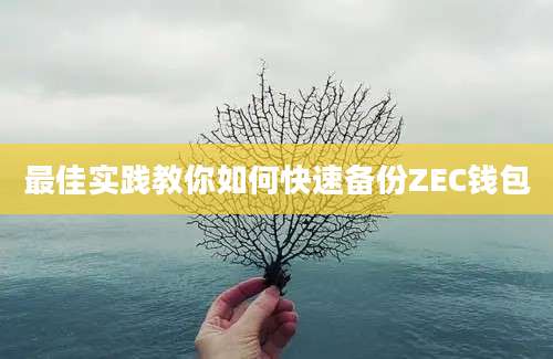 最佳实践教你如何快速备份ZEC钱包